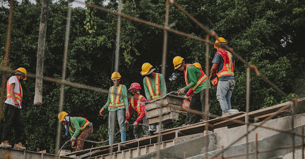 乐游加速器详情下载教程安装app