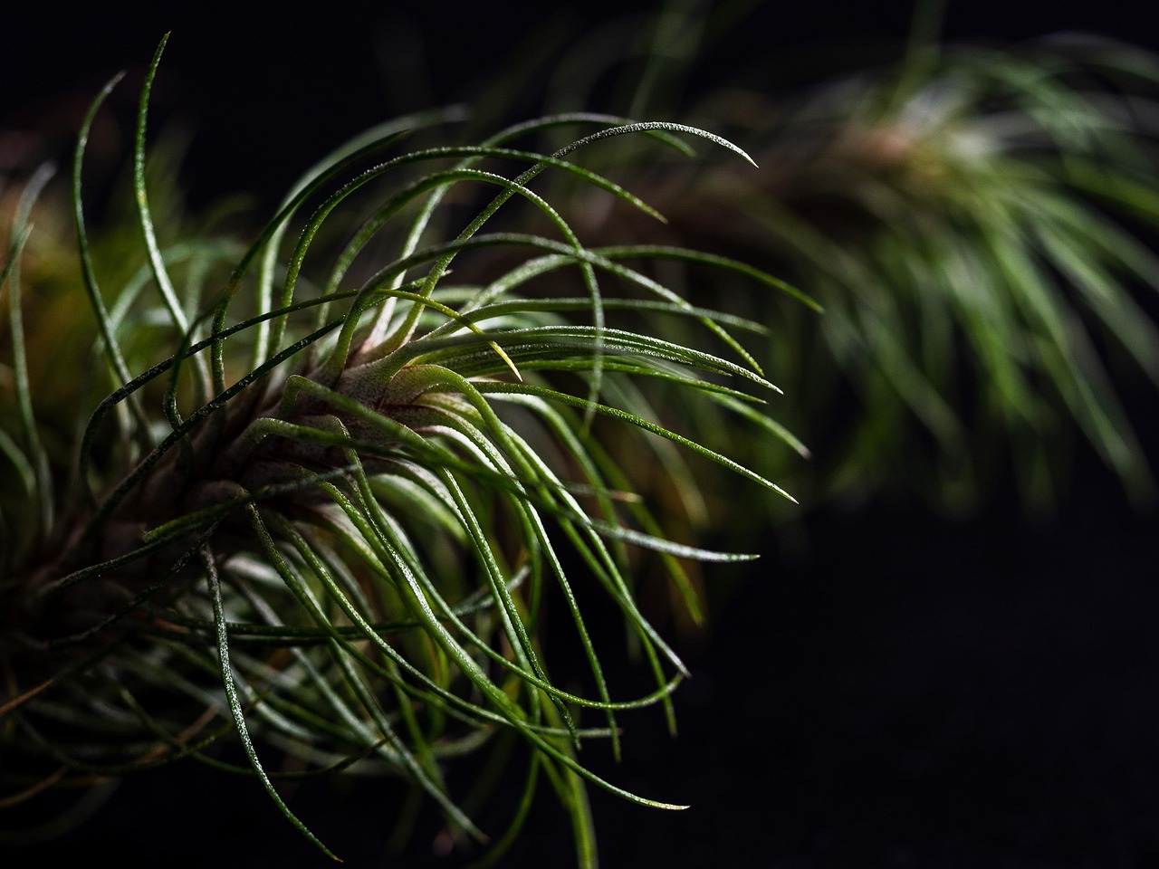 国外微信号：如何用短信实现更好的客户服务 