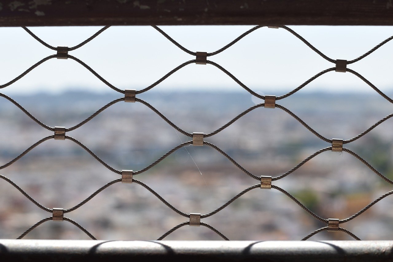 花样app详情下载教程ios