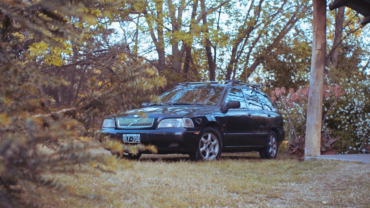 红梅花王：浙江注册会计代理加盟