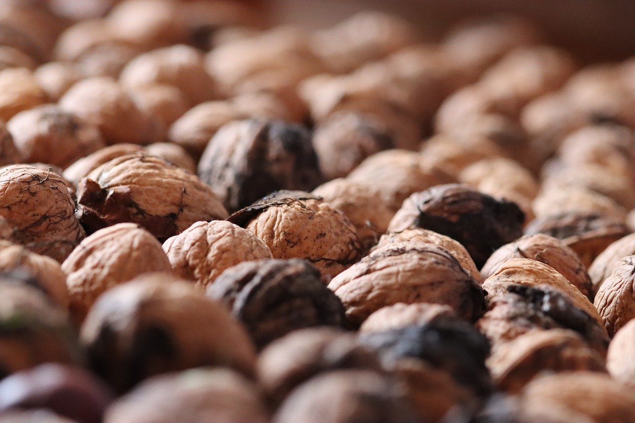 支付宝认证资料：蒸汽平台代理商