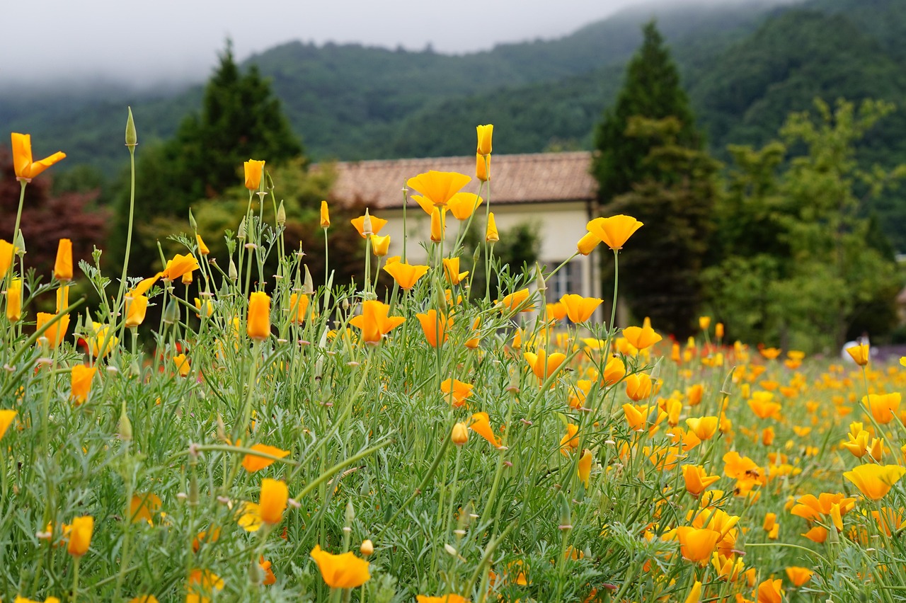 如何应对技术支持对多人游戏平衡性的影响 