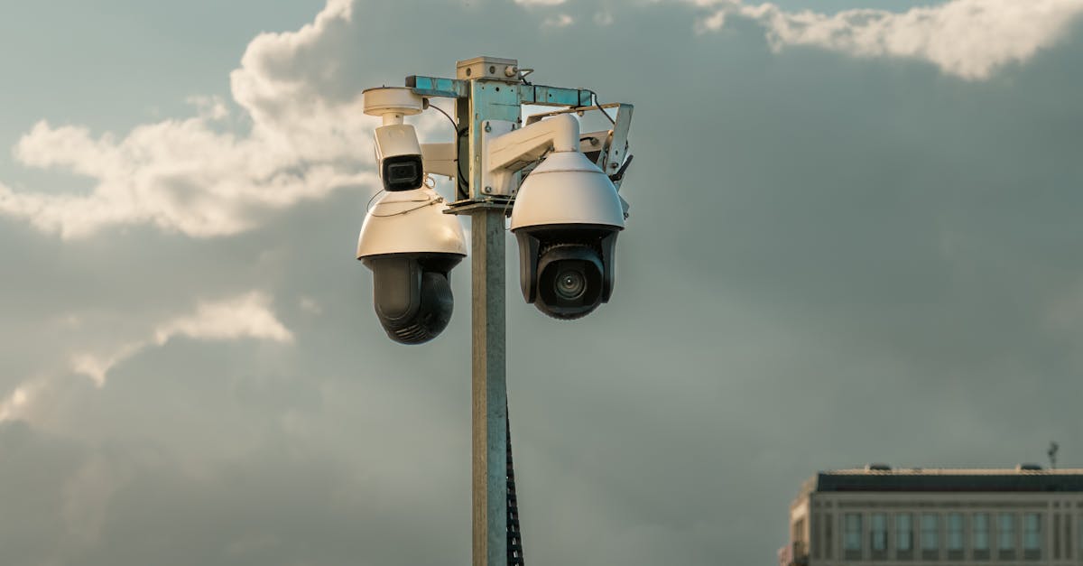 激战2:购买小7游戏账号安全吗