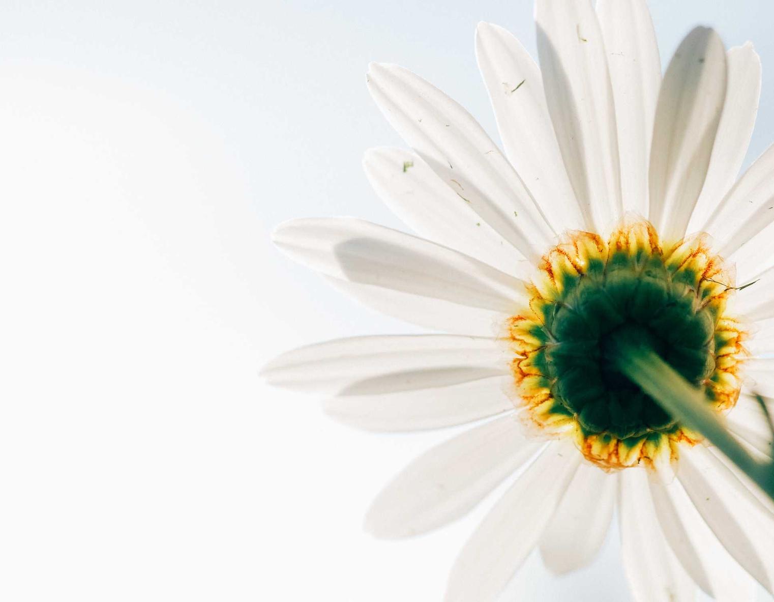 花田实名账号：银川股指期货开户正规平台