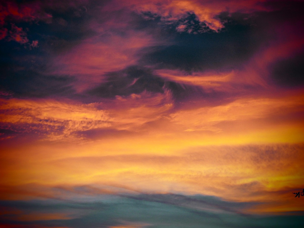 如何在SEO中使用您的地图位置进行链接建设