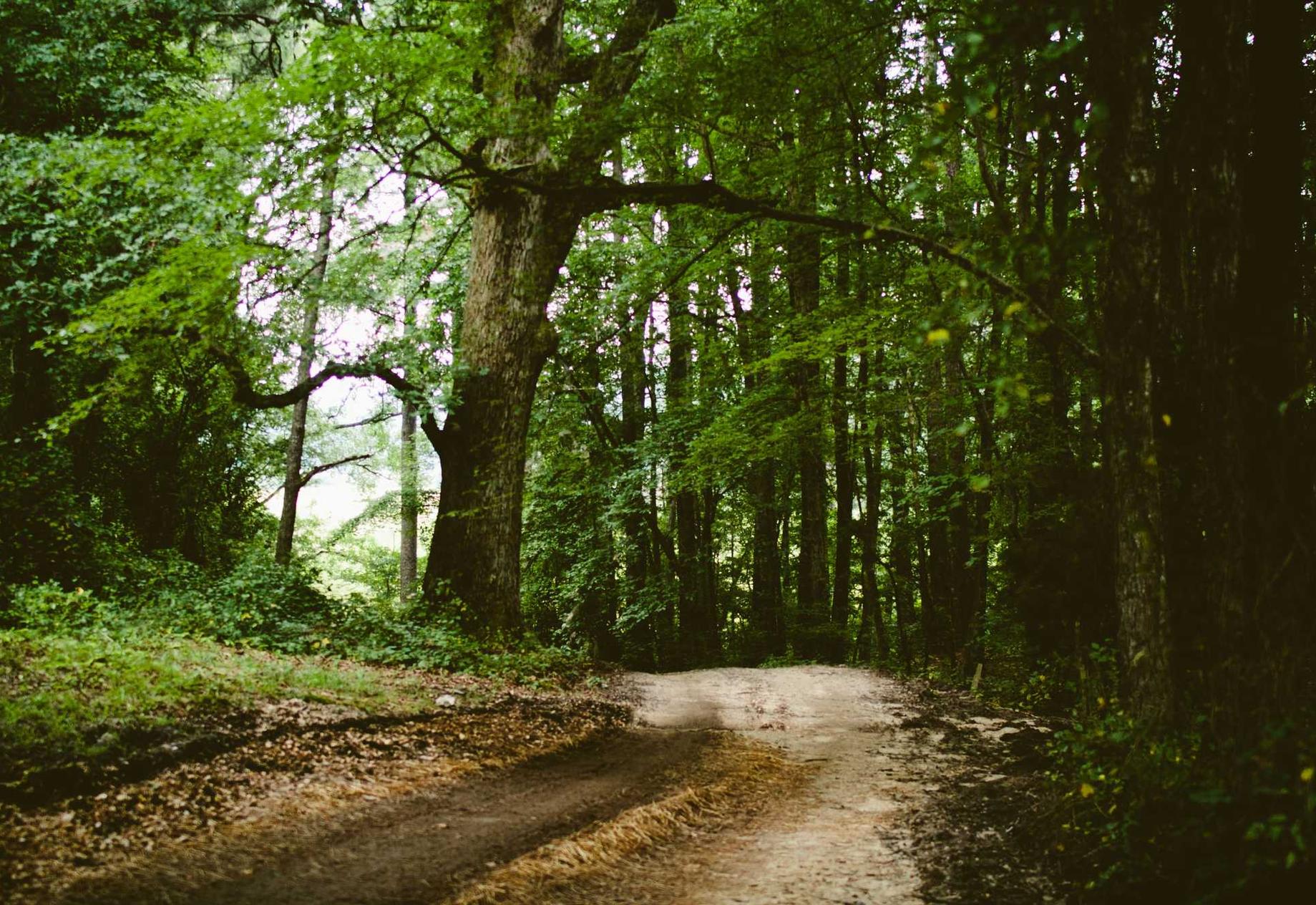 针对游戏技术支持的反作弊措施和技术策略